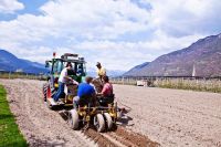 Semplificazione degli adempimenti relativi all'informazione, formazione e sorveglianza sanitaria nel settore agricolo